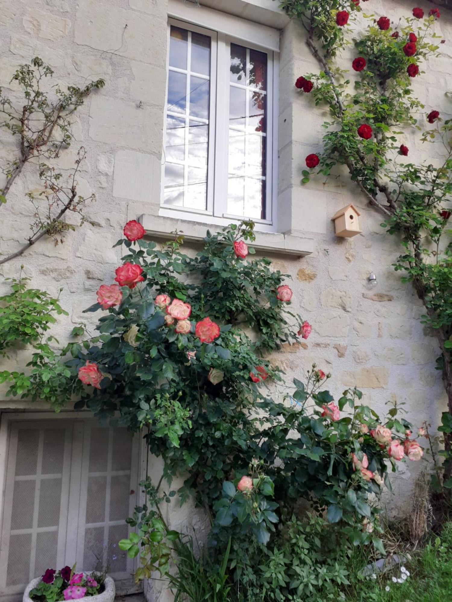 Villa Esprit Troglo Beaumont-en-Véron Exterior foto
